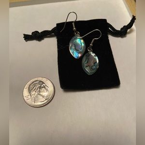 Shiny Blue/Teal/ Green Earrings